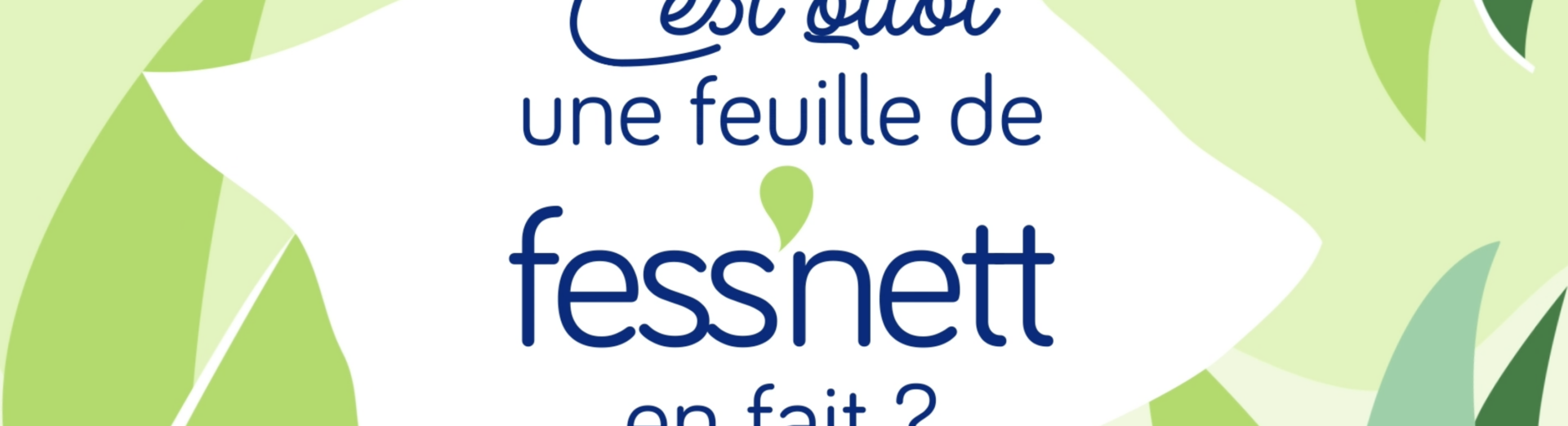 Les feuilles Fess&rsquo;nett sont sans danger pour vos toilettes !