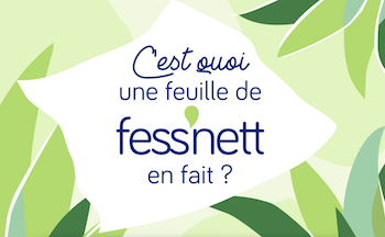 Les feuilles Fess&rsquo;nett sont sans danger pour vos toilettes !